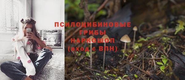ECSTASY Лихославль