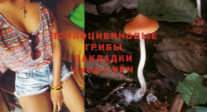 даркнет сайт  Заозёрный  Галлюциногенные грибы Psilocybe 